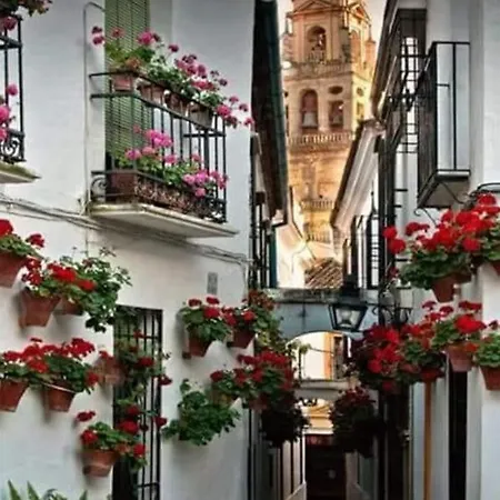 Apto Con Patio Y Barbacoa Bbq H De La Reina Córdoba Exterior foto